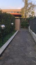  id.5259707
