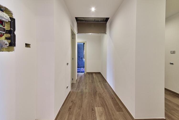  id.5271052