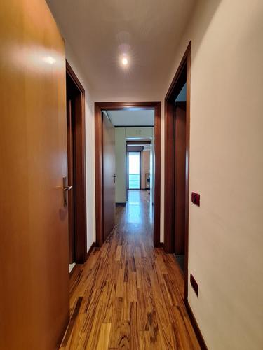  id.5312347